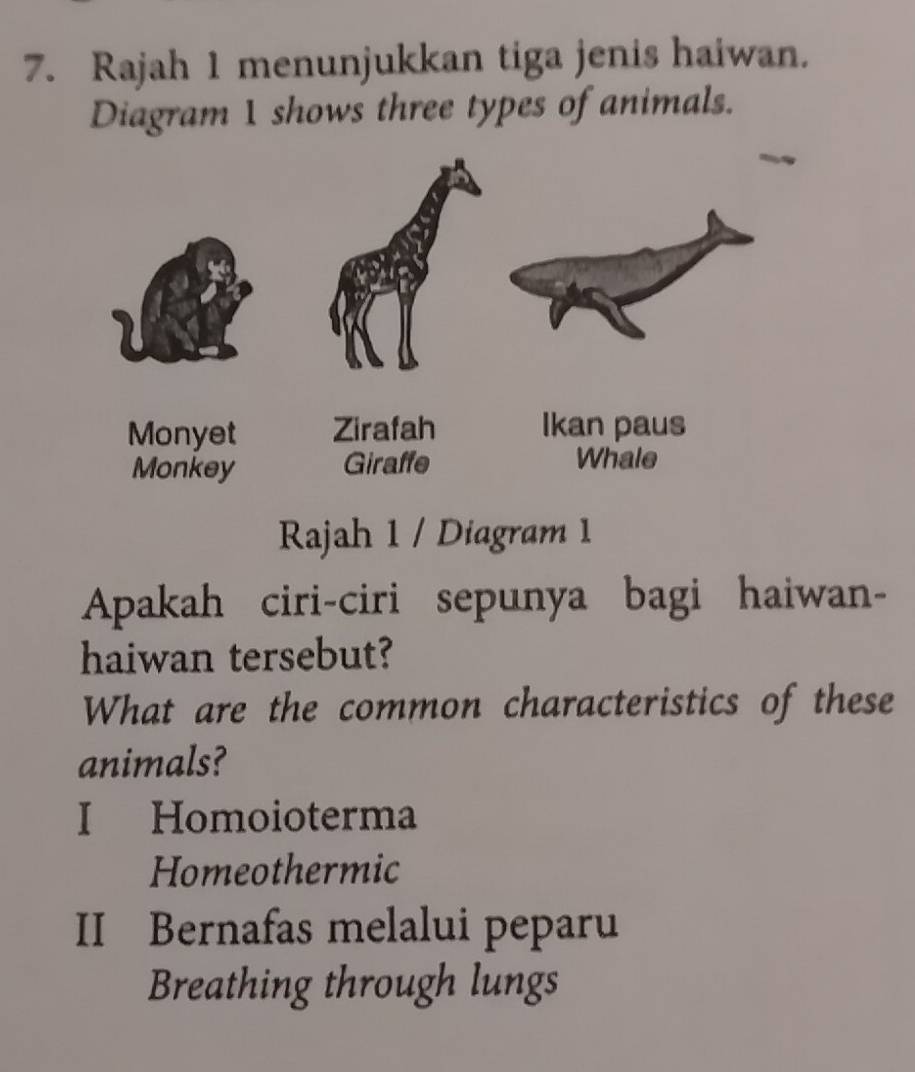 Rajah 1 menunjukkan tiga jenis haiwan.
Diagram 1 shows three types of animals.
Rajah 1 / Diagram 1
Apakah ciri-ciri sepunya bagi haiwan-
haiwan tersebut?
What are the common characteristics of these
animals?
I Homoioterma
Homeothermic
II Bernafas melalui peparu
Breathing through lungs