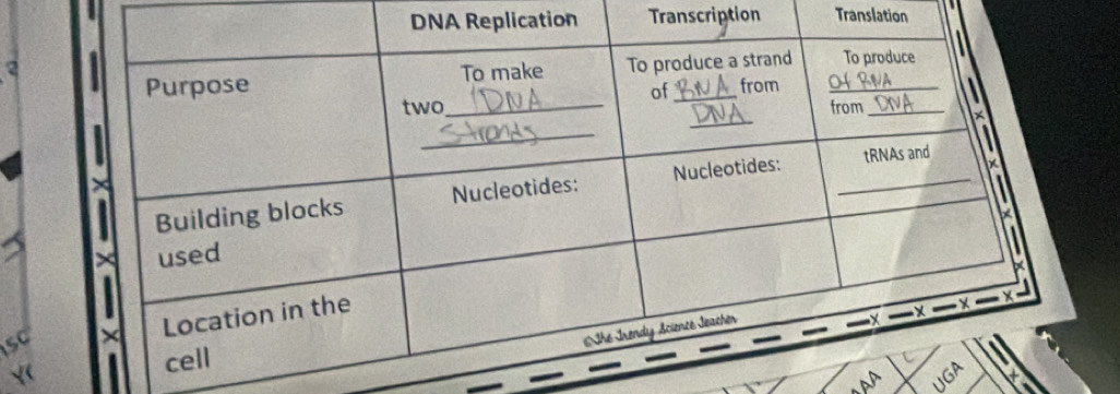 ication Transcription Translation