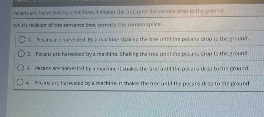 Pecans are harvested by a machine, it shakes the tree until the pecans drop to the ground.
Which revision of the sentence best corrects the comma splice?
1. Pecans are harvested. By a machine shaking the tree until the pecans drop to the ground.
2. Pecans are harvested by a machine. Shaking the tree until the pecans drop to the ground.
3. Pecans are harvested by a machine it shakes the tree until the pecans drop to the ground.
4. Pecans are harvested by a machine. It shakes the tree until the pecans drop to the ground.