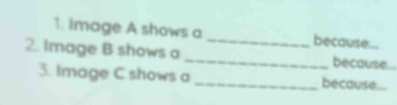Image A shows a _because... 
2. Image B shows a _because... 
3. Image C shows a _because...