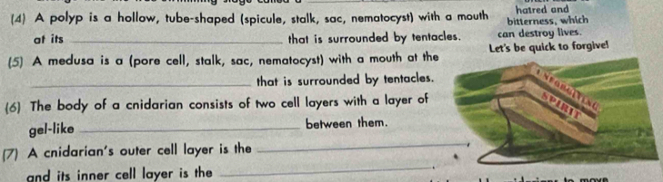 (4) A polyp is a hollow, tube-shaped (spicule, stalk, sac, nematocyst) with a mouth bitterness, which hatred and 
at its _that is surrounded by tentacles. can destroy lives. 
(5) A medusa is a (pore cell, stalk, sac, nematocyst) with a mouth at the Let's be quick to forgive! 
_that is surrounded by tentacles. 
Tangh n 
6 The body of a cnidarian consists of two cell layers with a layer of SPARiT 
gel-like _between them. 
7) A cnidarian's outer cell layer is the 
_ 
and its inner cell layer is the 
_ 
.