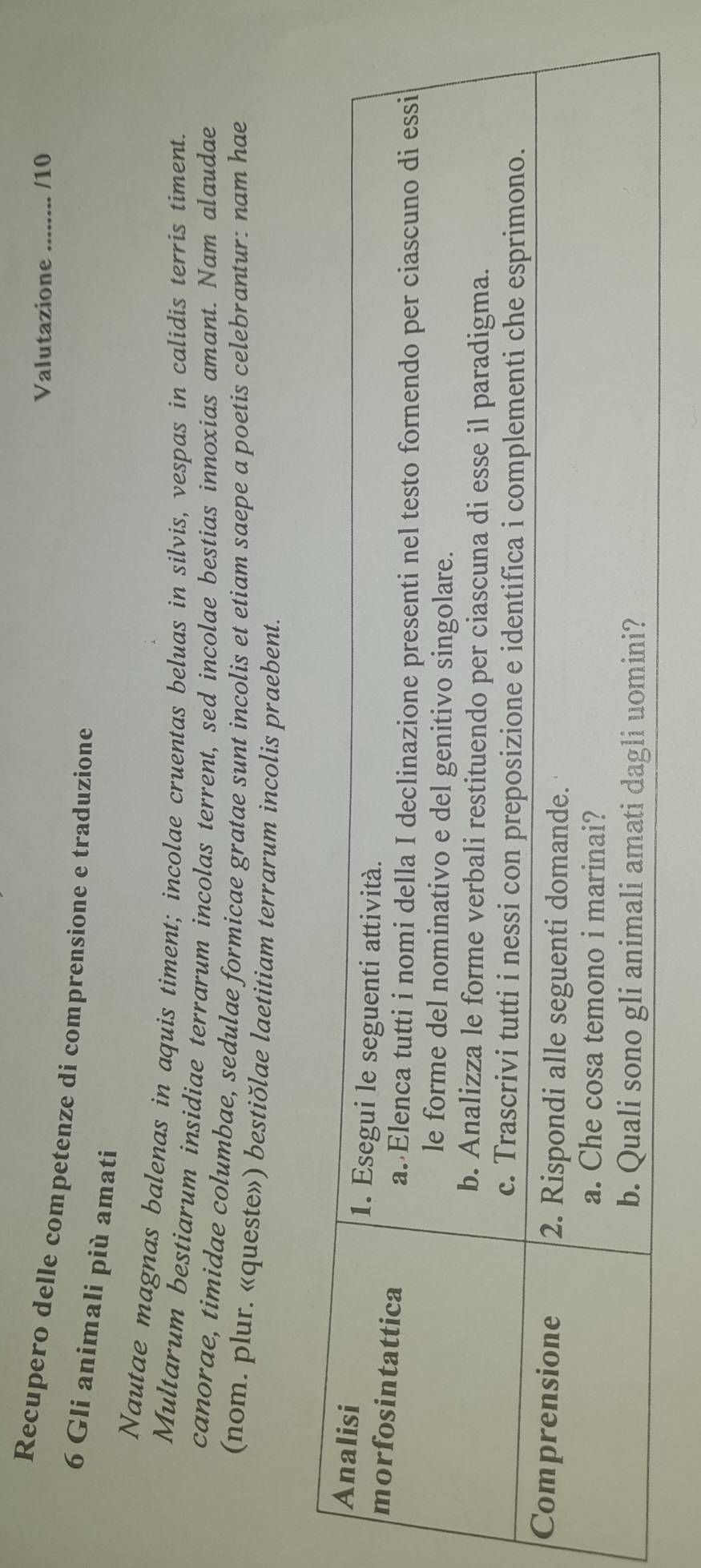 Valutazione _/10 
Recupero delle competenze di comprensione e traduzione
6 Gli animali più amati 
Nautae magnas balenas in aquis timent; incolae cruentas beluas in silvis, vespas in calidis terris timent. 
Multarum bestiarum insidiae terrarum incolas terrent, sed incolae bestias innoxias amant. Nam alaudae 
canorae, timidae columbae, sedulae formicae gratae sunt incolis et etiam saepe a poetis celebrantur: nam hae 
(nom. plur. «queste») bestiŏlae laetitiam terrarum incolis praebent.