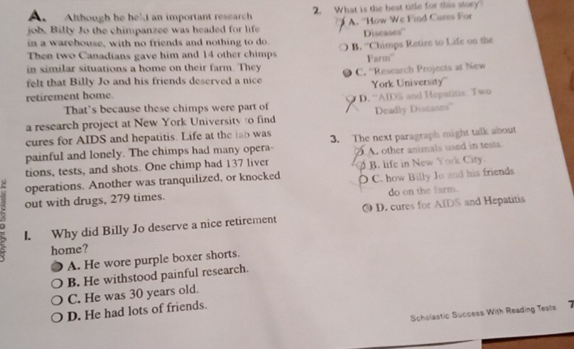 Although he hel an important research 2. What is the best title for this story
job. Billy Jo the chimpanzee was headed for life A. ''How We Find Cures For
in a warehouse, with no friends and nothing to do Diseases''
Then two Canadians gave him and 14 other chimps B. ''Chimps Retire to Life on the
in similar situations a home on their farm. They Farm'
felt that Billy Jo and his friends deserved a nice C. ''Research Projects at New
retirement home. York University''
That's because these chimps were part of D. ''AIDS and Heputitis: Two
a research project at New York University to find Deadly Diseases'''
cures for AIDS and hepatitis. Life at the lab was
painful and lonely. The chimps had many opera- 3. The next paragraph might talk about
tions, tests, and shots. One chimp had 137 liver A. other animals used in tests
operations. Another was tranquilized, or knocked B. life in New York City
)
out with drugs, 279 times. C. how Billy Jo and his friends
do on the farm.
I. Why did Billy Jo deserve a nice retirement D. cures for AIDS and Hepatitis
home?
A. He wore purple boxer shorts.
B. He withstood painful research.
C. He was 30 years old.
D. He had lots of friends.
Scholastic Success With Reading Tests 7