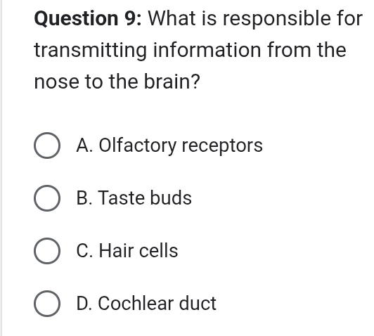 What is responsible for
transmitting information from the
nose to the brain?
A. Olfactory receptors
B. Taste buds
C. Hair cells
D. Cochlear duct