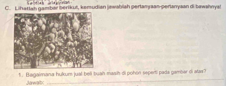 Lihatlah gambar berikut, kemudian jawablah pertanyaan-pertanyaan di bawahnya! 
1. Bagaimana hukum jual beli buah masih di pohon seperti pada gambar di atas? 
Jawab: 
_