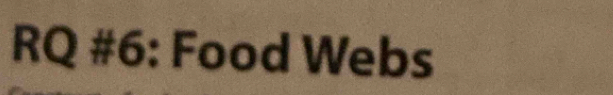 RQ #6: Food Webs