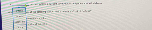 The nervous system includes the sympathetic and parasympathetic divisions.
Whe enteric
ves of the parasympathetic division originate? Check all that apply.
somatic region of the spine
autonomic c region of the spine
centrail