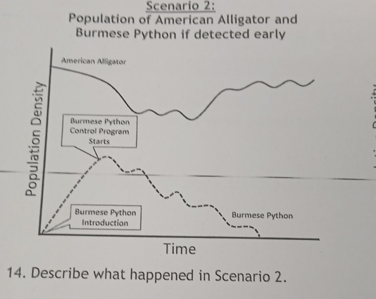 Scenario 2: 
Population of American Alligator and 
Bur 
14. Describe what happened in Scenario 2.