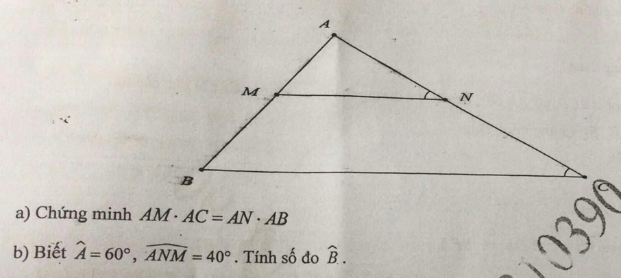 Chứng minh AM· AC=AN· AB
b) Biết widehat A=60°, widehat ANM=40°. Tính số đo widehat B.