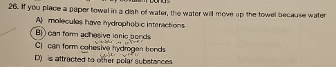 If you place a paper towel in a dish of water, the water will move up the towel because water
A) molecules have hydrophobic interactions
B) can form adhesive ionic bonds
C) can form cohesive hydrogen bonds
D) is attracted to other polar substances