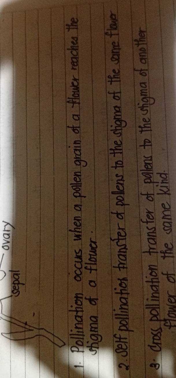 isepal 
ovary 
1. Pollination occurs when a pollen grain of a flower reaches the 
stigma of a flower. 
2. self pollination transter of pollens to the sligma of the same flower 
8. cross pollination fransfer of pollens to the cshigma of another 
flower of the same kind.
