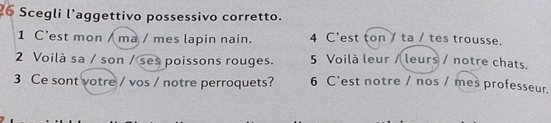 Scegli l’aggettivo possessivo corretto. 
1 C’est mon / ma / mes lapin nain. 4 C'est ton / ta / tes trousse. 
2 Voilà sa / son / ses poissons rouges. 5 Voilà leur / leurs / notre chats. 
3 Ce sont votre / vos / notre perroquets? 6 C'est notre / nos / mes professeur.