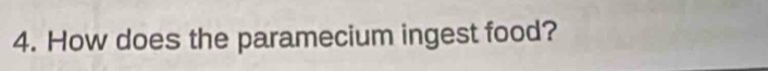 How does the paramecium ingest food?