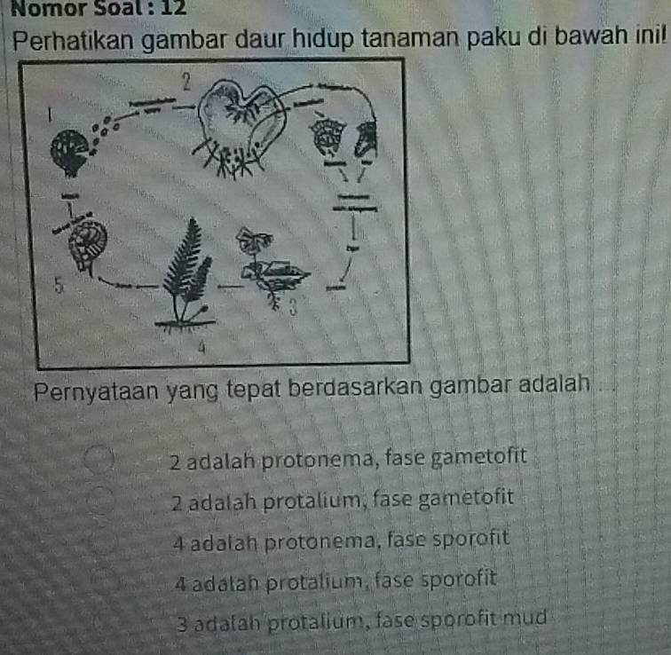 Nomor Soal : 12
Perhatikan gambar daur hidup tanaman paku di bawah ini!
Pernyataan yang tepat berdasarkan gambar adalah
2 adalah protonema, fase gametofit
2 adalah protalium, fase gametofit
4 adalah protonema, fase sporofit
4 adalah protalium, fase sporofit
3 adalah protalium, fase sporofit mud