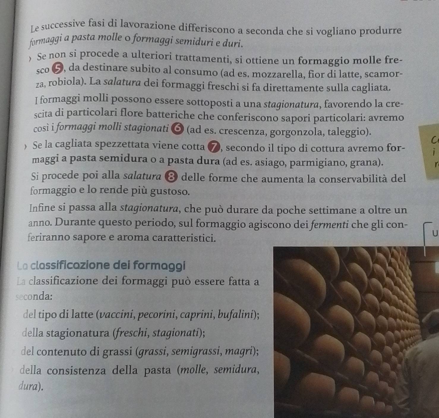 Le successive fasi di lavorazione differiscono a seconda che si vogliano produrre
formaggi a pasta molle 0 formaggi semiduri e duri.
) Se non si procede a ulteriori trattamenti, si ottiene un formaggio molle fre-
sco 5, da destinare subito al consumo (ad es. mozzarella, fior di latte, scamor-
za, robiola). La salatura dei formaggi freschi si fa direttamente sulla cagliata.
I formaggi molli possono essere sottoposti a una stagionatura, favorendo la cre-
scita di particolari flore batteriche che conferiscono sapori particolari: avremo
così i formaggi molli stagionati ❺ (ad es. crescenza, gorgonzola, taleggio).
C
) Se la cagliata spezzettata viene cotta ⑦, secondo il tipo di cottura avremo for- i
maggi a pasta semidura o a pasta dura (ad es. asiago, parmigiano, grana). Y
Si procede poi alla salatura 8 delle forme che aumenta la conservabilità del
formaggio e lo rende più gustoso.
Infine si passa alla stagionatura, che può durare da poche settimane a oltre un
anno. Durante questo periodo, sul formaggio agiscono dei fermenti che gli con-
feriranno sapore e aroma caratteristici.
U
La classificazione dei formaggi
La classificazione dei formaggi può essere fatta a
seconda:
del tipo di latte (vaccini, pecorini, caprini, bufalini);
della stagionatura (freschi, stagionati);
del contenuto di grassi (grassi, semigrassi, magri);
della consistenza della pasta (molle, semidura,
dura).