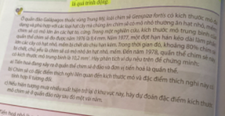 Là quá minh độeg 
Ở quân đảo Galipages thuộc vùng Trung Mỹ loài chim sẻ Geoipiza fortis có kích thước mỏ đi 
dang và phó hợp với các loại hạc cây mà chứng án chim sẽ có mô nhỏ thường ăn hạt nhỏ, mrển 
chim sẻ có mô lớn ăn các hạt to, cứng. Trong một nghiên cứ kích thước mô trung bình cộc 
quán thể cim số đo được năm 1976 à 8,4 mm. Năm 1977, một đợt hạn hán kếo đài làm phác 
lớn các ciy có hạt nnd, mềm bi chếc do chiu hạn kêm, Drong thời gian đó, khoảng 80% 6 chim sý 
àị chết chủ jeu là chim số có mở nhó ăn hạt nhỏ, mềm, Đến năm 1978, quân thể chim sẻ rà 
có kích thước mô trung bình là 70,2 nm ''. Ny phần tích vi dụ nêu trên để chứng minh: 
ai Tiến hoà đang xây ra ở quần thể chim sẻ ở đảo và đơn vị tiến hoà là quần thế, 
bị Chim sẽ có đặc điểm thích nghi liên quan đến kích thước mỏ và đặc điểm thích nghi này c 
tính hợp lĩ tương đối 
c) Niểu hiện tượng mựa nhiều xuất hiện trở lai ở khu vực này, hày dự đoán đặc điểm kích thực mô chim sẻ ở quân đảo này sau đó một vài năm. 
Đến hoá nhỏ là