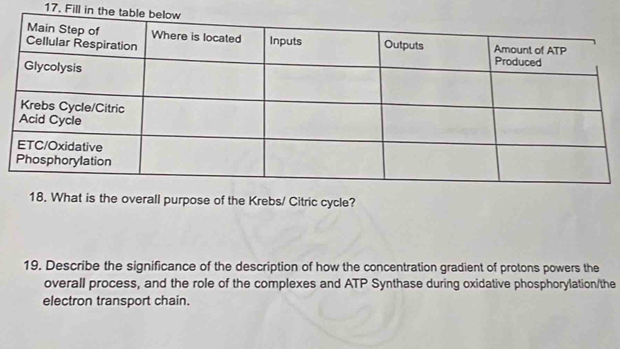 Fill in th 
18. What is the overall purpose of the Krebs/ Citric cycle? 
19. Describe the significance of the description of how the concentration gradient of protons powers the 
overall process, and the role of the complexes and ATP Synthase during oxidative phosphorylation/the 
electron transport chain.