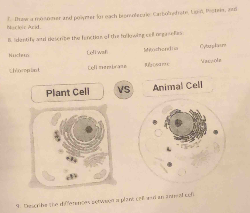 Draw a monomer and polymer for each biomolecule: Carbohydrate, Lipid, Protein, and 
Nucleic Acid. 
8. Identify and describe the function of the following cell organelles: 
Nucleus Cell wall Mitochondria Cytoplasm 
Chloroplast Cell membrane Ribosome Vacuole 
Plant Cell vS Animal Cell 
9. Describe the differences between a plant cell and an animal cell