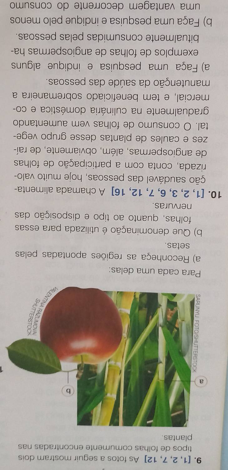 [1, 2, 7, 12] As fotos a seguir mostram dois 
tipos de folhas comumente encontradas nas 
plantas. 
1 
Para cada uma delas: 
a) Reconheça as regiões apontadas pelas 
setas. 
b) Que denominação é utilizada para essas 
folhas, quanto ao tipo e disposição das 
nervuras. 
10. [1, 2, 3, 6, 7, 12, 16] A chamada alimenta- 
ção saudável das pessoas, hoje muito valo- 
rizada, conta com a participação de folhas 
de angiospermas, além, obviamente, de raí- 
zes e caules de plantas desse grupo vege- 
tal. O consumo de folhas vem aumentando 
gradualmente na culinária doméstica e co- 
mercial, e tem beneficiado sobremaneira a 
manutenção da saúde das pessoas. 
a) Faça uma pesquisa e indique alguns 
exemplos de folhas de angiospermas ha- 
bitualmente consumidas pelas pessoas. 
b) Faça uma pesquisa e indique pelo menos 
uma vantagem decorrente do consumo