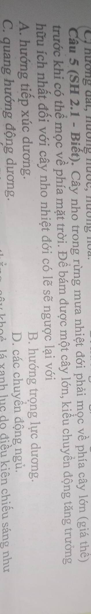 C, hương đất, nướng nước, nướng noa.
Câu 5 (SH 2.1 - Biết). Cây nho trong rừng mưa nhiệt đới phải mọc về phía cây lớn (giá thể)
trước khi có thể mọc về phía mặt trời. Để bám được một cây lớn, kiểu chuyển động tăng trưởng
hữu ích nhất đối với cây nho nhiệt đới có lẽ sẽ ngược lại với
A. hướng tiếp xúc dương. B. hướng trọng lực dương.
D. các chuyển động ngủ.
C. quang hướng động dương.
hoé lá xanh lục do điều kiên chiếu sáng như