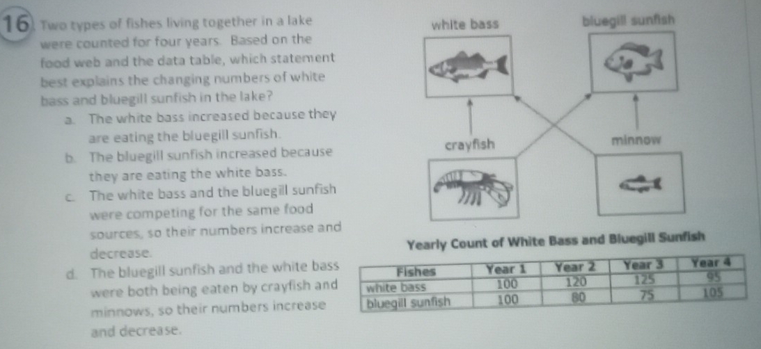 Two types of fishes living together in a lake 
were counted for four years. Based on the
food web and the data table, which statement
best explains the changing numbers of white
bass and bluegill sunfish in the lake?
a. The white bass increased because they
are eating the bluegill sunfish.
b. The bluegill sunfish increased because 
they are eating the white bass.
c. The white bass and the bluegill sunfish
were competing for the same food
sources, so their numbers increase and
decrease. Yearly Count of White Bass and Bluegill Sunfish
d. The bluegill sunfish and the white b
were both being eaten by crayfish a
minnows, so their numbers increas
and decrease.