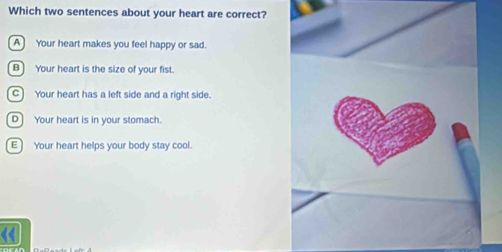 Which two sentences about your heart are correct?
A Your heart makes you feel happy or sad.
B) Your heart is the size of your fist.
C Your heart has a left side and a right side.
D Your heart is in your stomach.
E] Your heart helps your body stay cool.