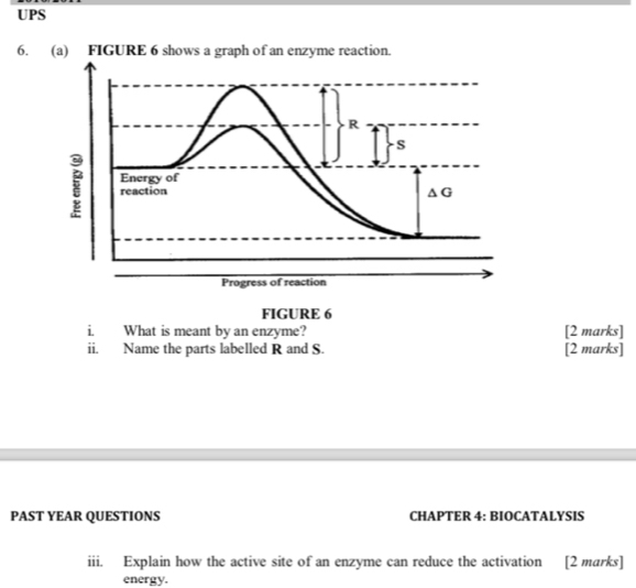 UPS
6. 
FIGURE 6
i. What is meant by an enzyme? [2 marks]
ii. Name the parts labelled R and S. [2 marks]
PAST YEAR QUESTIONS CHAPTER 4: BIOCATALYSIS
iii. Explain how the active site of an enzyme can reduce the activation [2 marks]
energy.