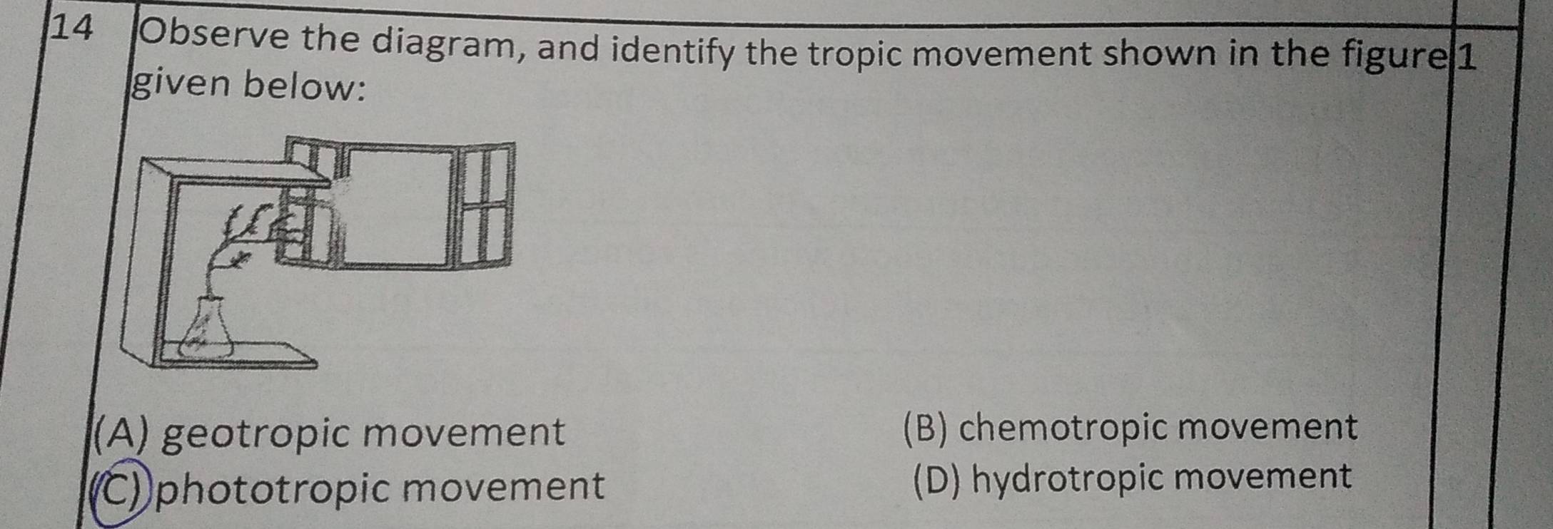 Solved: Observe the diagram, and identify the tropic movement shown in ...
