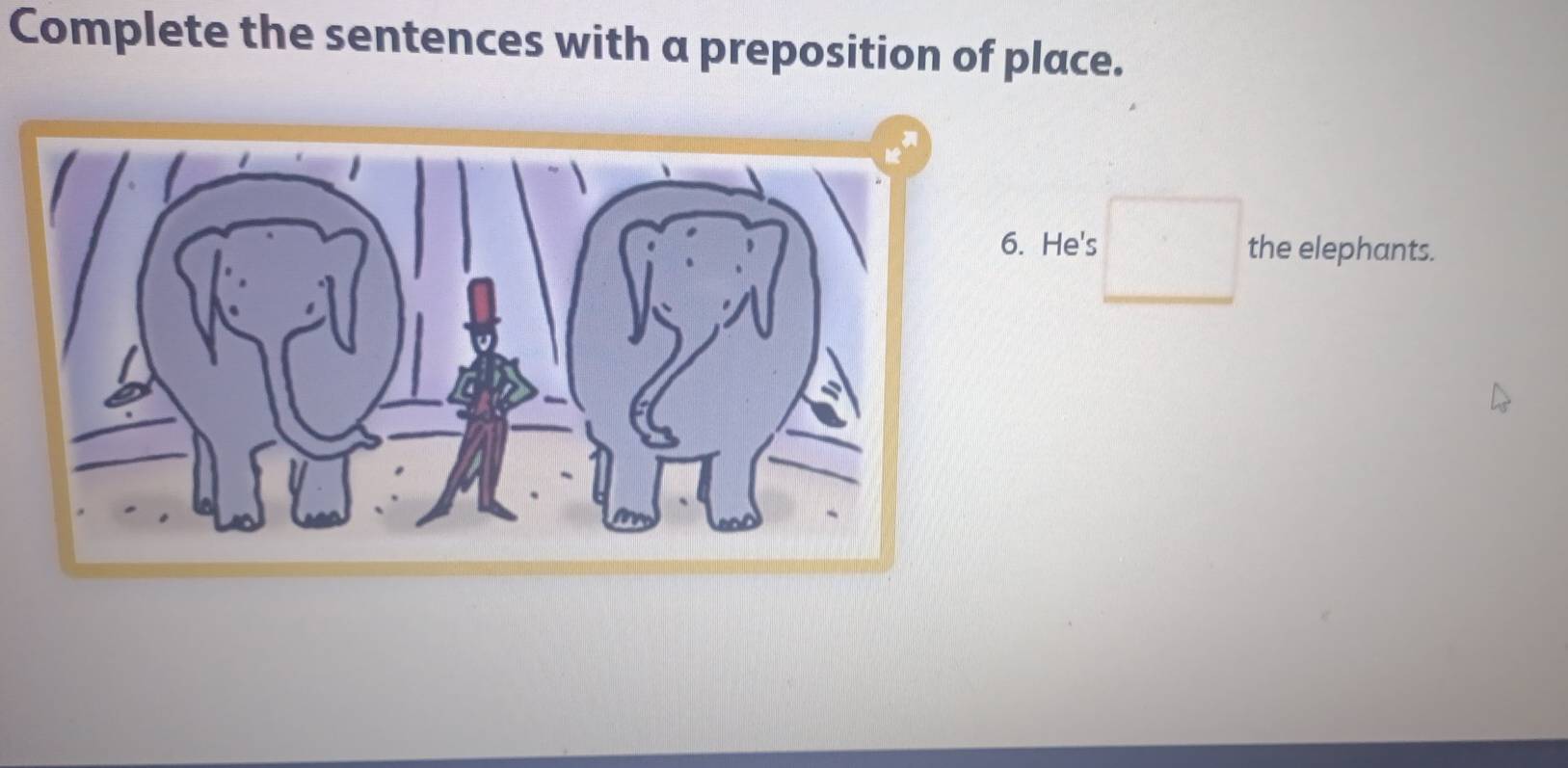 Complete the sentences with a preposition of place. 
. He's^ ^circ  the elephants. 
^□  □ 