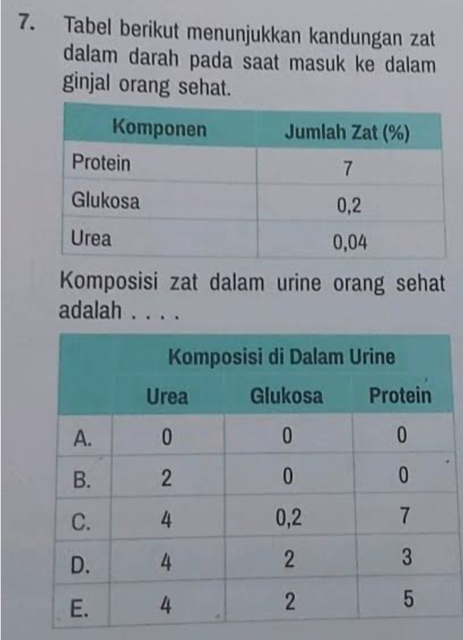 Tabel berikut menunjukkan kandungan zat 
dalam darah pada saat masuk ke dalam 
ginjal orang sehat. 
Komposisi zat dalam urine orang sehat 
adalah . . . .