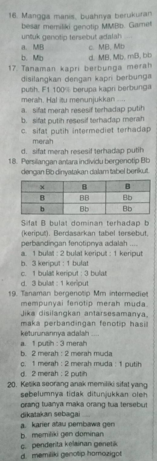 Mangga manis, buahnya berukuran
besar memiliki genotip MMBb. Gamet
untuk genotip tersebut adalah ....
a. MB c. MB, Mb
b. Mb d. MB, Mb, mB, bb
17. Tanaman kapri berbunga merah
disilangkan dengan kapri berbunga
putih. F1 100% berupa kapri berbunga
merah. Hal itu menunjukkan ....
a. sifat merah resesif terhadap putih
b. sifat putih resesif terhadap merah
c. sifat putih intermediet terhadap
merah
d. sifat merah resesif terhadap putih
18. Persilangan antara individu bergenotip Bb
dengan Bb dinyatakan dalam tabel berikut.
Sifat B bulat dominan terhadap b
(keriput). Berdasarkan tabel tersebut,
perbandingan fenotipnya adalah ....
a. 1 bulat : 2 bulat keriput : 1 keriput
b. 3 keriput : 1 bulat
c. 1 bulat keriput : 3 bulat
d. 3 bulat : 1 kerìput
19. Tanaman bergenotip Mm intermediet
mempunyai fenotip merah muda.
Jika disilangkan antarsesamanya,
maka perbandingan fenotip hasil 
keturunannya adalah ....
a. 1 putih : 3 merah
b. 2 merah : 2 merah muda
c. 1 merah : 2 merah muda : 1 putih
d. 2 merah : 2 putih
20. Ketika seorang anak memiliki sifat yang
sebelumnya tidak ditunjukkan oleh
orang tuanya maka orang tua tersebut
dikatakan sebagai ....
a. karier atau pembawa gen
b. memiliki gen dominan
c. penderita kelainan genetik
d. memiliki genotip homozigot