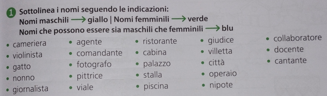 Sottolinea i nomi seguendo le indicazioni:
Nomi maschili — giallo | Nomi femminili verde
Nomi che possono essere sia maschili che femminili blu
cameriera agente ristorante giudice collaboratore
violinista comandante cabina villetta docente
gatto palazzo città cantante
fotografo
nonno pittrice stalla operaio
giornalista viale piscina nipote