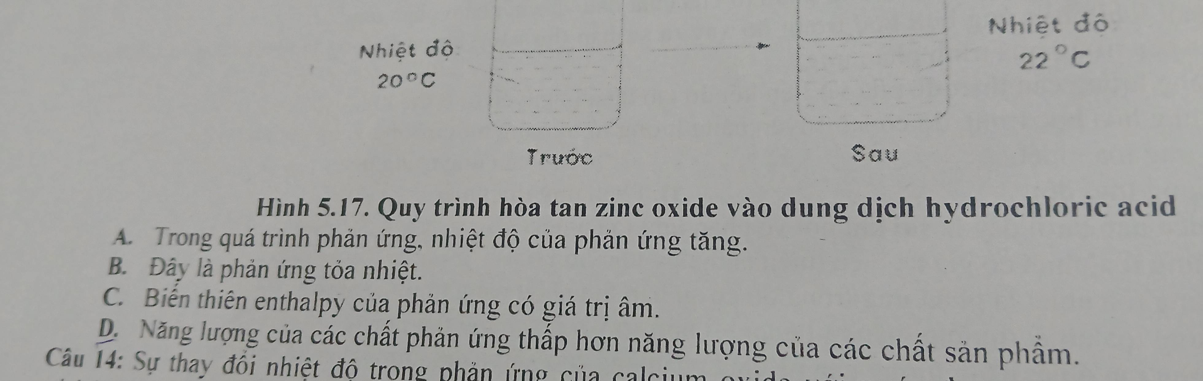 Nhiệt đô
Nhiệt độ
22°C
20°C
Trước Sau
Hình 5.17. Quy trình hòa tan zinc oxide vào dung dịch hydrochloric acid
A. Trong quá trình phản ứng, nhiệt độ của phản ứng tăng.
B. Đây là phản ứng tỏa nhiệt.
C. Biến thiên enthalpy của phản ứng có giá trị âm.
D. Năng lượng của các chất phản ứng thấp hơn năng lượng của các chất sản phẩm.
Câu 14: Sự thay đôi nhiệt đô trong phản ứng của calciur