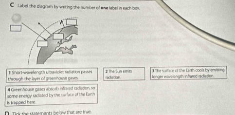 Label the diagram by writing the number of one label in each box. 
1 Short-wavelength ultraviolet radiation passes 2 The Sun emits 3 The surface of the Earth cools by emitting 
through the layer of greenhouse gases radiation. longer wavelength infrared radiation. 
4 Greenhouse gases absorb infrared radiation, so 
some energy radiated by the surface of the Earth 
is trapped here. 
D. Tick the statements below that are true.