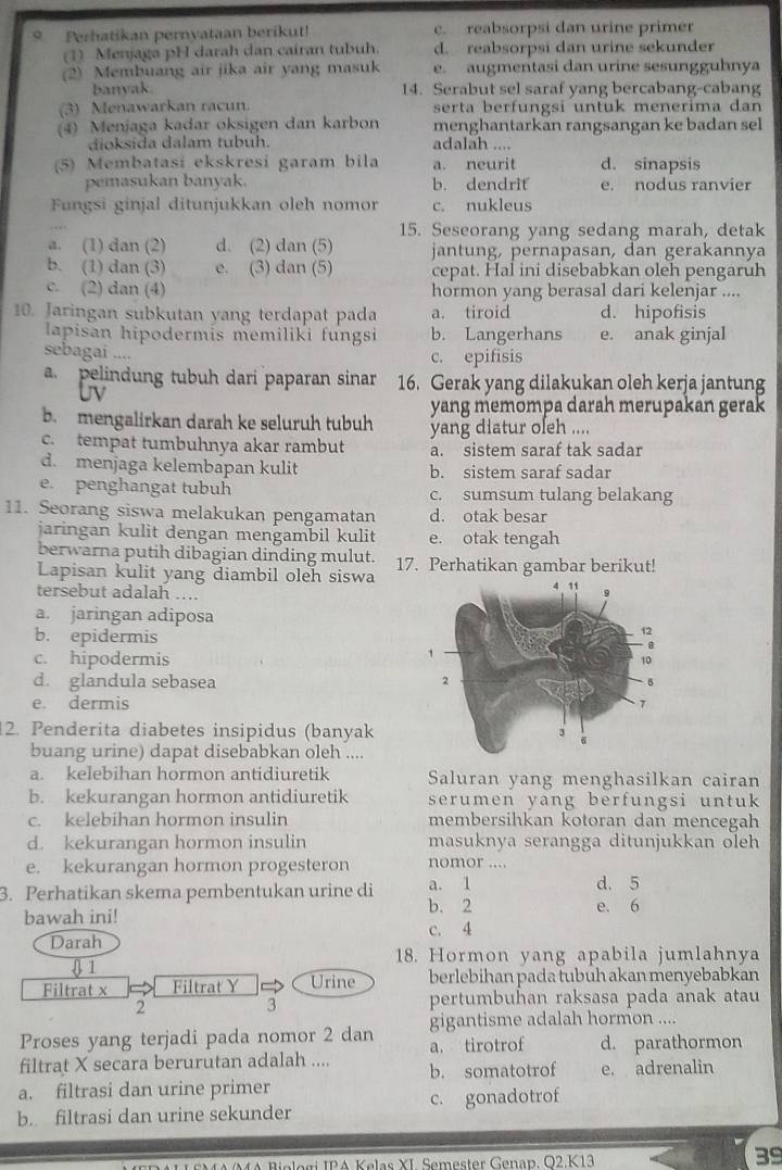 Perhatikan pernyataan berikut! c. reabsorpsi dan urine primer
(1) Menjaga pH darah dan cairan tubuh. d. reabsorpsi dan urine sekunder
(2) Membuang air jika air yang masuk e. augmentasi dan urine sesungguhnya
banyak 14. Serabut sel saraf yang bercabang-cabang
(3) Menawarkan racun. serta berfungsi untuk menerima dan
(4) Menjaga kadar oksigen dan karbon menghantarkan rangsangan ke badan sel
dioksida dalam tubuh. adalah ....
(5) Membatasi ekskresi garam bila a. neurit d. sinapsis
pemasukan banyak. b. dendrit e. nodus ranvier
Fungsi ginjal ditunjukkan oleh nomor c. nukleus
15. Seseorang yang sedang marah, detak
a. (1) dan (2) d. (2) dan (5) jantung, pernapasan, dan gerakannya
b. (1) dan (3) e. (3) dan (5) cepat. Hal ini disebabkan oleh pengaruh
c. (2) dan (4) hormon yang berasal dari kelenjar ....
10. Jaringan subkutan yang terdapat pada a. tiroid d. hipofisis
lapisan hipodermis memiliki fungsi b. Langerhans e. anak ginjal
sebagai .... c. epifisis
pelindung tubuh dari paparan sinar 16. Gerak yang dilakukan oleh kerja jantung
Uv
yang memompa darah merupakan gerak
b. mengalirkan darah ke seluruh tubuh
c. tempat tumbuhnya akar rambut yang diatur oleh ....
a. sistem saraf tak sadar
d. menjaga kelembapan kulit b. sistem saraf sadar
e. penghangat tubuh c. sumsum tulang belakang
11. Seorang siswa melakukan pengamatan d. otak besar
jaringan kulit dengan mengambil kulit e. otak tengah
berwarna putih dibagian dinding mulut.
Lapisan kulit yang diambil oleh siswa 17. Perhatikan gambar berikut!
tersebut adalah …..
a. jaringan adiposa
b. epidermis
c. hipodermis
d. glandula sebasea
e. dermis
2. Penderita diabetes insipidus (banyak
buang urine) dapat disebabkan oleh ....
a. kelebihan hormon antidiuretik Saluran yang menghasilkan cairan
b. kekurangan hormon antidiuretik serumen yang berfungsi untuk
c. kelebihan hormon insulin membersihkan kotoran dan mencegah
d. kekurangan hormon insulin masuknya serangga ditunjukkan oleh
e. kekurangan hormon progesteron nomor ....
3. Perhatikan skema pembentukan urine di a. 1 d. 5
b. 2 e. 6
bawah ini!
Darah c. 4
 1 18. Hormon yang apabila jumlahnya
Filtrat x Filtrat Y Urine berlebihan pada tubuh akan menyebabkan
2
3 pertumbuhan raksasa pada anak atau
gigantisme adalah hormon ....
Proses yang terjadi pada nomor 2 dan a. tirotrof d. parathormon
filtrat X secara berurutan adalah .... b. somatotrof e. adrenalin
a. filtrasi dan urine primer
b. filtrasi dan urine sekunder c. gonadotrof
MA Biologi IPA Kelas XI. Semester Genap, O2.K13
39