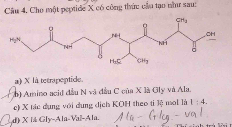 Cho một peptide X có công thức cấu tạo như sau:
a) X là tetrapeptide.
(b) Amino acid đầu N và đầu C của X là Gly và Ala.
c) X tác dụng với dung dịch KOH theo ti lệ mol là 1:4.
d) X là Gly-Ala-Val-Ala.