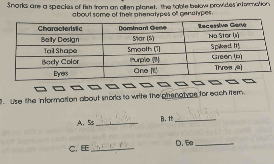 Snorks are a species of fish from an alien planet. The table below provides information 
about some of their phenotypes of genotypes. 
1. Use the information about snorks to write the phenotype for each item. 
A. Ss_ 
B. t_ 
D. Ee_ 
C. EE_