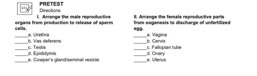 PRETEST 
Directions 
I. Arrange the male reproductive II. Arrange the female reproductive parts 
organs from production to release of sperm from oogenesis to discharge of unfertilized 
cells. egg. 
_a. Urethra _a. Vagina 
_ 
b. Vas deferens _b. Cervix 
_c. Testis _c. Fallopian tube 
_d. Epididymis _d. Ovary 
_e. Cowper's gland/seminal vesicle _e. Uterus