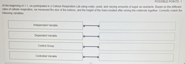 POSSIBLE POINTS: 1
At the beginning of 1.1, we participated in a Cellular Respiration Lab using water, yeast, and varying amounts of sugar as reactants. Based on the different
rates of cellular respiration, we measured the size of the balloon, and the height of the foam created after mixing the materials together. Correctly match the
following variables.
Independant Variable
Dependent Variable
Control Group
Controlled Variable