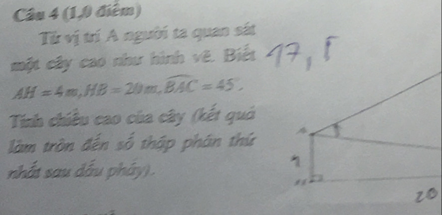 (1,0 điểm) 
Từ vị trí A người ta quan sát 
một cây cao như hình vê. Biết
AH=4m, HB=20m, widehat BAC=45°, 
Tính chiều cao của cây (kết quả 
làm tròn đến số thập phân thứ A 
nhất sau dấu pháy). 
1