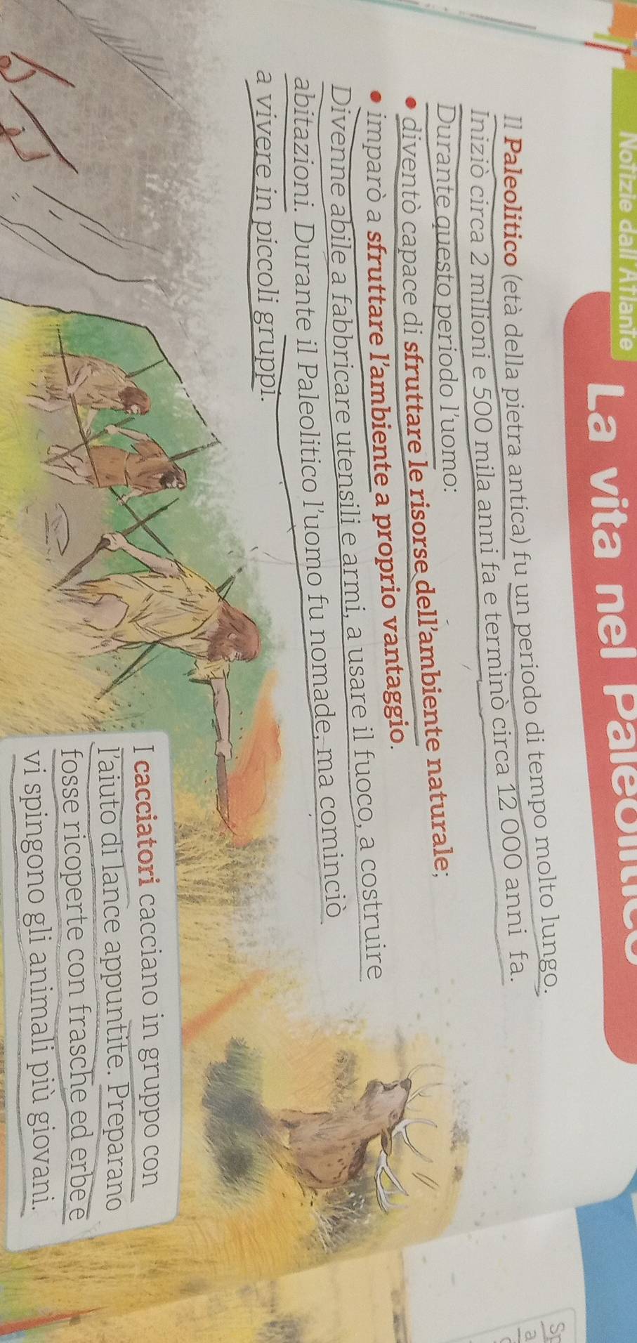 Notizie dail Atlante La vita nel Paleolitic 
Il Paleolitico (età della pietra antica) fu un periodo di tempo molto lungo. 
SI 
Iniziò circa 2 milioni e 500 mila anni fa e terminò circa 12 000 anni fa. 
a 
Durante questo periodo l’uomo: 
diventò capace di sfruttare le risorse dell'ambiente naturale; 
imparò a sfruttare l'ambiente a proprio vantaggio. 
Divenne abile a fabbricare utensili e armi, a usare il fuoco, a costruire 
abitazioni. Durante il Paleolitico l’uomo fu nomade, ma cominciò 
a vivere in piccoli gruppi. 
I cacciatori cacciano in gruppo con 
laiuto di lance appuntite. Preparano 
fosse ricoperte con frasche ed erbe e 
vi spingono gli animali più giovani.