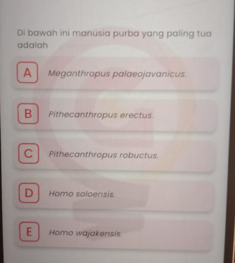 Di bawah ini manusia purba yang paling tua
adalah
A Meganthropus palaeojavanicus.
B Pithecanthropus erectus.
C Pithecanthropus robuctus.
D Homo soloensis.
E Homo wajakensis.