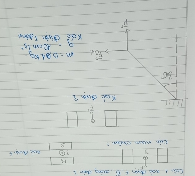 Cau 1 xac dinn F, vector B , dong dièn I 
F 
N 
I 
Iodot Xocdinh F 
cuc nam cham? S 
□
overline F^(7
1//u 
Kac dinh 2.
30^circ)
Fáv m=0.01kg.
g=10cm1s^2
Xdo dinn Fdonvi
vector p'