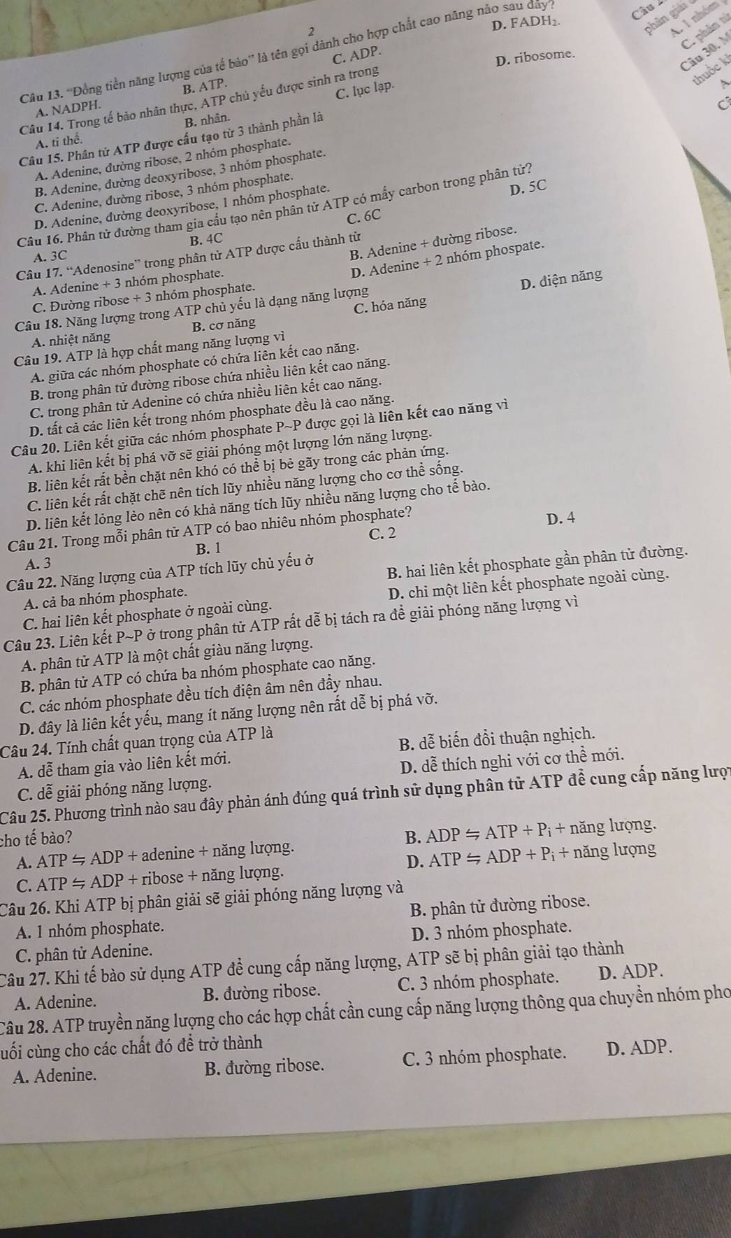 ''Đồng tiền năng lượng của tế bảo'' là tên gọi dành cho hợp chất cao năng nào sau đây'
Câu 
2
1 1 nhóm
D. FADH₂.
phân giải 
Câu 30. M C. phân tí
C. ADP.
D. ribosome.
Câu 14. Trong tế bảo nhân thực, ATP chú yếu được sinh ra trong
thuốc k
B. ATP. ?
C. lục lạp.
A. NADPH.
C
A. ti thế. B. nhân.
Câu 15. Phân tử ATP được cấu tạo từ 3 thành phần là
A. Adenine, đường ribose, 2 nhóm phosphate.
B. Adenine, đường deoxyribose, 3 nhóm phosphate.
C. Adenine, dường ribose, 3 nhóm phosphate.
Câu 16, Phân tử đường tham gia cầu tạo nên phân tử ATP cỏ mấy carbon trong phân từ?
D. Adenine, dường deoxyribose, 1 nhóm phosphate.
D. 5C
C. 6C
B. Adenine + đường ribose.
A. 3C B. 4C
Câu 17. “Adenosine” trong phân tử ATP được cấu thành từ
D. Adenine + 2 nhóm phospate.
A. Adenine + 3 nhóm phosphate.
D. điện năng
C. Đường ribose + 3 nhóm phosphate.
C. hóa năng
Câu 18. Năng lượng trong ATP chủ yếu là dạng năng lượng
A. nhiệt năng B. cơ năng
Câu 19. ATP là hợp chất mang năng lượng vì
A. giữa các nhóm phosphate có chứa liên kết cao năng.
B. trong phân tử đường ribose chứa nhiều liên kết cao năng.
C. trong phân tử Adenine có chứa nhiều liên kết cao năng.
D. tất cả các liên kết trong nhóm phosphate đều là cao năng.
Câu 20. Liên kết giữa các nhóm phosphate P~P được gọi là liên kết cao năng vì
A. khi liên kết bị phá vỡ sẽ giải phóng một lượng lớn năng lượng.
B. liên kết rất bền chặt nên khó có thể bị bẻ gãy trong các phản ứng.
C. liên kết rất chặt chẽ nên tích lũy nhiều năng lượng cho cơ thể sống.
D. liên kết lỏng lèo nên có khả năng tích lũy nhiều năng lượng cho tế bào.
Câu 21. Trong mỗi phân tử ATP có bao nhiêu nhóm phosphate? D. 4
C. 2
B. 1
A. 3
Câu 22. Năng lượng của ATP tích lũy chủ yếu ở
A. cả ba nhóm phosphate. B. hai liên kết phosphate gần phân tử đường.
C. hai liên kết phosphate ở ngoài cùng. D. chi một liên kết phosphate ngoài cùng.
Câu 23. Liên kết P~P ở trong phân tử ATP rất dễ bị tách ra đề giải phóng năng lượng vì
A. phân tử ATP là một chất giàu năng lượng.
B. phân tử ATP có chứa ba nhóm phosphate cao năng.
C. các nhóm phosphate đều tích điện âm nên đầy nhau.
D. đây là liên kết yếu, mang ít năng lượng nên rất dễ bị phá vỡ.
Câu 24. Tính chất quan trọng của ATP là
B. dễ biến đồi thuận nghịch.
A. dễ tham gia vào liên kết mới.
C. dễ giải phóng năng lượng. D. dễ thích nghi với cơ thể mới.
Câu 25. Phương trình nào sau đây phản ánh đúng quá trình sử dụng phân tử ATP để cung cấp năng lược
cho tế bào? B. ADP=ATP+P_i+ năng lượng.
A. ATP≌ ADP+ adenine + năng lượng.
D.
C. ATP=ADP+ribose+ năng lượng. ATP≌ ADP+P_i+ + năng lượng
Câu 26. Khi ATP bị phân giải sẽ giải phóng năng lượng và
A. 1 nhóm phosphate. B. phân tử đường ribose.
C. phân từ Adenine. D. 3 nhóm phosphate.
Câu 27. Khi tế bào sử dụng ATP để cung cấp năng lượng, ATP sẽ bị phân giải tạo thành
A. Adenine. B. đường ribose. C. 3 nhóm phosphate. D. ADP.
Câu 28. ATP truyền năng lượng cho các hợp chất cần cung cấp năng lượng thông qua chuyền nhóm pho
cuối cùng cho các chất đó để trở thành
A. Adenine. B. đường ribose. C. 3 nhóm phosphate. D. ADP.