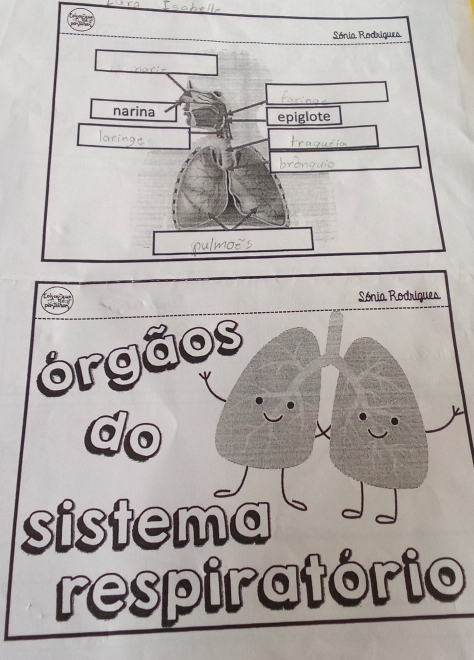 respiratório