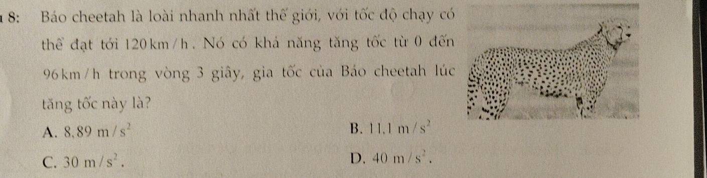 1 8: Báo cheetah là loài nhanh nhất thế giới, với tốc độ chạy có
thể đạt tới 120 km/h. Nó có khả năng tăng tốc từ 0 đến
96km/h trong vòng 3 giây, gia tốc của Báo cheetah lúc
tăng tốc này là?
A. 8.89m/s^2 B. 11.1m/s^2
C. 30m/s^2. D. 40m/s^2.