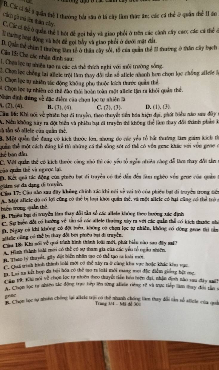 B. Các cá thể ở quần thể I thường bắt sâu ở lá cây làm thức ăn; các cá thể ở quần thế II ăn
cách gõ mỏ lên thân cây.
C. Các cá thể ở quần thể I hót đề gọi bầy và giao phối ở trên các cành cây cao; các cá thể ở
II thường hoạt động và hót đề gọi bầy và giao phối ở dưới mặt đất.
D. Quần thể chim 1 thường làm tổ ở thân cây sồi, tổ của quần thế II thường ở thân cây bạch
Câu 15: Cho các nhận định sau:
1. Chọn lọc tự nhiên tạo ra các cá thể thích nghi với môi trường sống.
2. Chọn lọc chống lại allele trội làm thay đổi tần số allele nhanh hơn chọn lọc chống allele la
3. Chọn lọc tự nhiên tác động không phụ thuộc kích thước quần thể,
4. Chọn lọc tự nhiên có thể đào thải hoàn toàn một allele lặn ra khỏi quản thể.
Nhận định đúng về đặc điểm của chọn lọc tự nhiên là
A. (2), (4). B. (3), (4). C. (2), (3). D. (1), (3).
Câu 16: Khi nói về phiêu bạt di truyền, theo thuyết tiến hóa hiện đại, phát biểu nào sau đây :
A. Nếu không xảy ra đột biến và phiêu bạt di truyền thì không thể làm thay đổi thành phần k
và tần số allele của quần thể.
B. Một quần thể đang có kích thước lớn, nhưng do các yếu tố bắt thường làm giám kích th
quần thể một cách đáng kể thì những cá thể sống sót có thể có vốn gene khác với vốn gene ở
thể ban đầu.
C. Với quần thể có kích thước càng nhỏ thì các yếu tố ngẫu nhiên càng dễ làm thay đổi tần
của quần thể và ngược lại.
D. Kết quả tác động của phiêu bạt di truyền có thể dẫn đến làm nghèo vốn gene của quản t
giảm sự đa dạng di truyền.
Câu 17: Câu nào sau đây không chính xác khi nói về vai trò của phiêu bạt di truyền trong tiến
A. Một allele dù có lợi cũng có thể bị loại khỏi quần thể, và một allele có hại cũng có thể trởn
biến trong quần thể.
B. Phiêu bạt di truyền làm thay đổi tần số các allele không theo hướng xác định
C. Sự biển đổi có hướng về tần số các allele thường xảy ra với các quần thể có kích thước nhớ
D. Ngay cả khi không có đột biến, không có chọn lọc tự nhiên, không có dòng gene thì tần
allele cũng có thể bị thay đổi bởi phiêu bạt di truyền.
Câu 18: Khi nói về quá trình hình thành loài mới, phát biểu nào sau đây sai?
A. Hình thành loài mới có thể có sự tham gia của các yếu tố ngẫu nhiên.
B. Theo lý thuyết, gây đột biến nhân tạo có thể tạo ra loài mới.
C. Quá trình hình thành loài mới có thể xáy ra ở cùng khu vực hoặc khác khu vực,
D. Lai xa kết hợp đa bội hóa có thể tạo ra loài mới mang mọi đặc điểm giống hệt mẹ
Câu 19: Khi nói về chọn lọc tự nhiên theo thuyết tiến hóa hiện đại, nhận định nào sau đây sai?
A. Chọn lọc tự nhiên tác động trực tiếp lên từng allele riêng rẽ và trực tiếp làm thay đội tần s
gene.
B. Chọn lọc tự nhiên chống lại allele trội có thể nhanh chóng làm thay đổi tần số allele của quả
Trang 3/4 - Mã đề 301