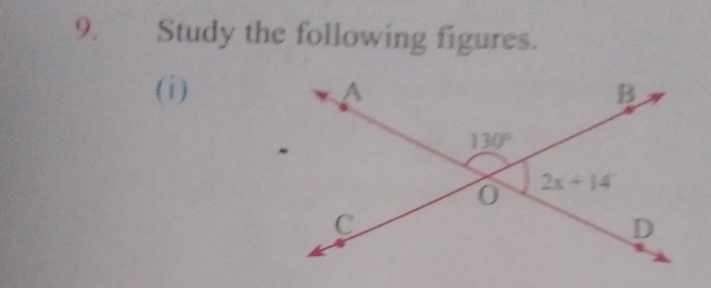 Study the following figures.
(i)