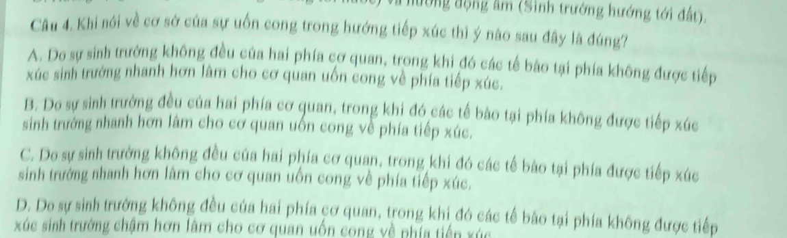 hường động âm (Sinh trưởng hướng tới đất).
Câu 4. Khi nói về cơ sở của sự uốn cong trong hướng tiếp xúc thì ý nào sau đây là đúng?
A. Do sự sinh trưởng không đều của hai phía cơ quan, trong khi đó các tế bảo tại phía không được tiếp
xúc sinh trưởng nhanh hơn làm cho cơ quan uốn cong về phía tiếp xúc.
B. Do sự sinh trưởng đều của hai phía cơ quan, trong khi đó các tế bào tại phía không được tiếp xúc
sinh trưởng nhanh hơn làm cho cơ quan uốn cong về phía tiếp xúc.
C. Do sự sinh trưởng không đều của hai phía cơ quan, trong khi đó các tế bào tại phía được tiếp xúc
sinh trưởng nhanh hơn làm cho cơ quan uốn cong về phía tiếp xúc.
D. Do sự sinh trường không đều của hai phía cơ quan, trong khi đó các tế bảo tại phía không được tiếp
xúc sinh trường chậm hơn làm cho cơ quan uốn cong về phía tiến xúc