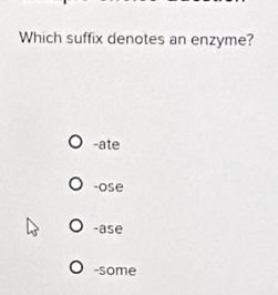 Which suffix denotes an enzyme?
-ate
-ose
-ase
-some